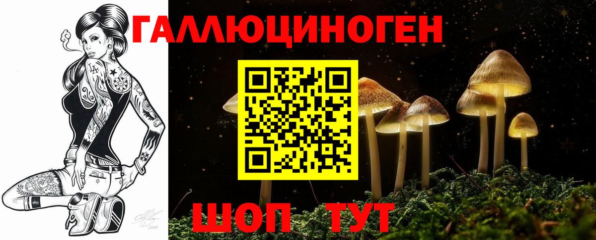 Галлюциногенные грибы Psilocybe  Вход с VPN  Ахтубинск 